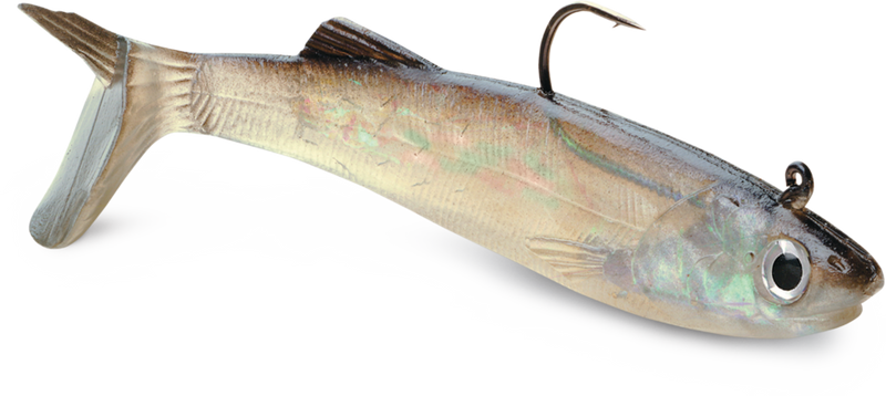 WildEye® Live Anchovy F5