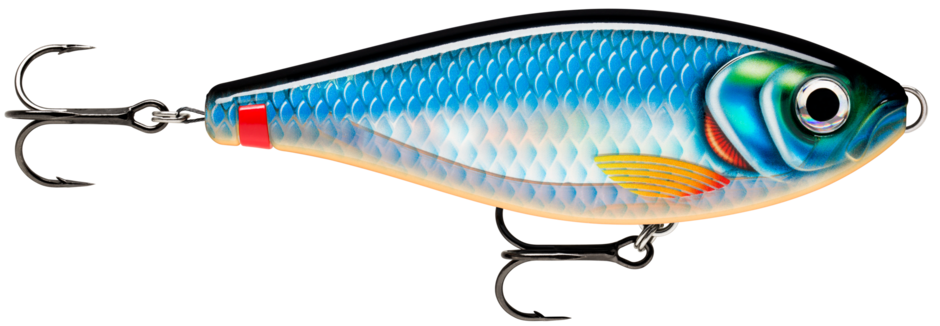 X-Rap® Haku