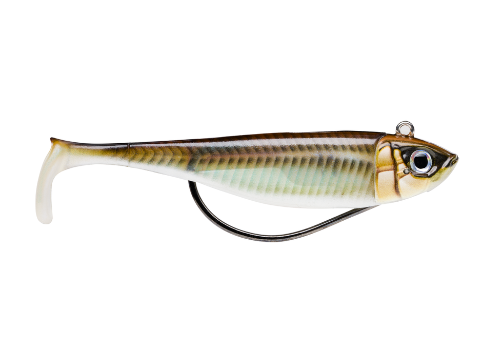 360GT Coastal Biscay Shad®