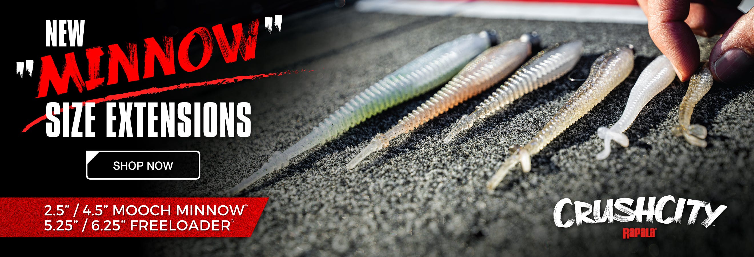 Rapala Minnows